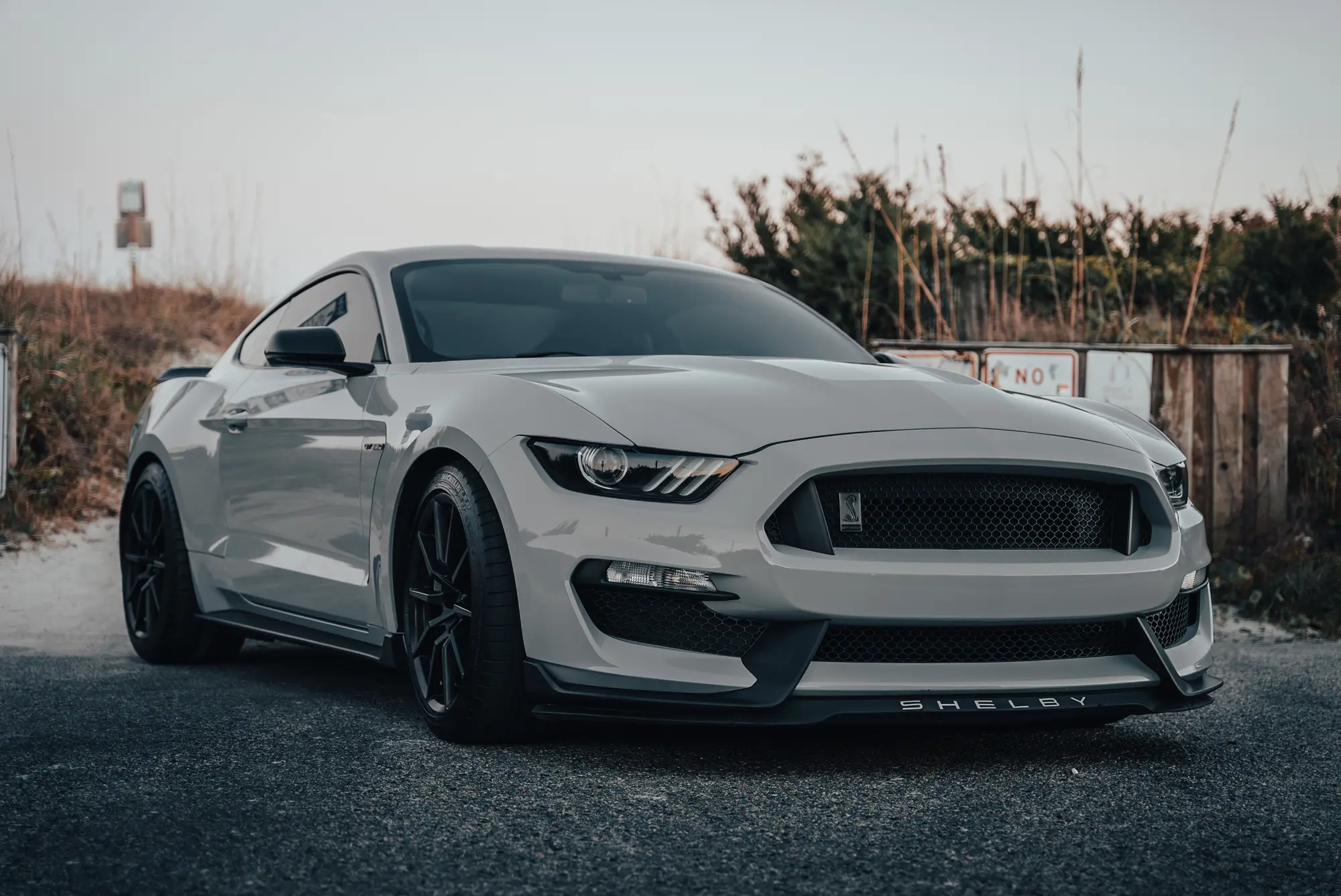 Mustang up front