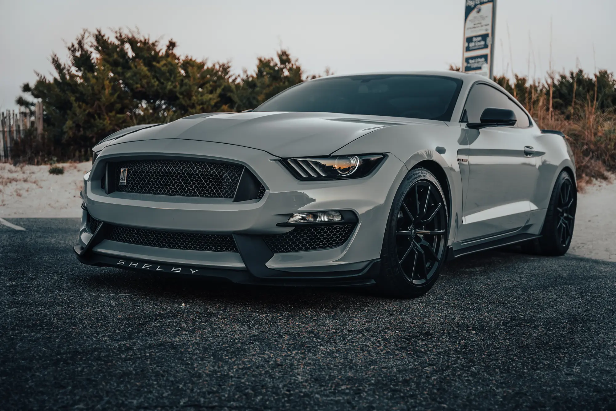 Mustang front side view on the beach