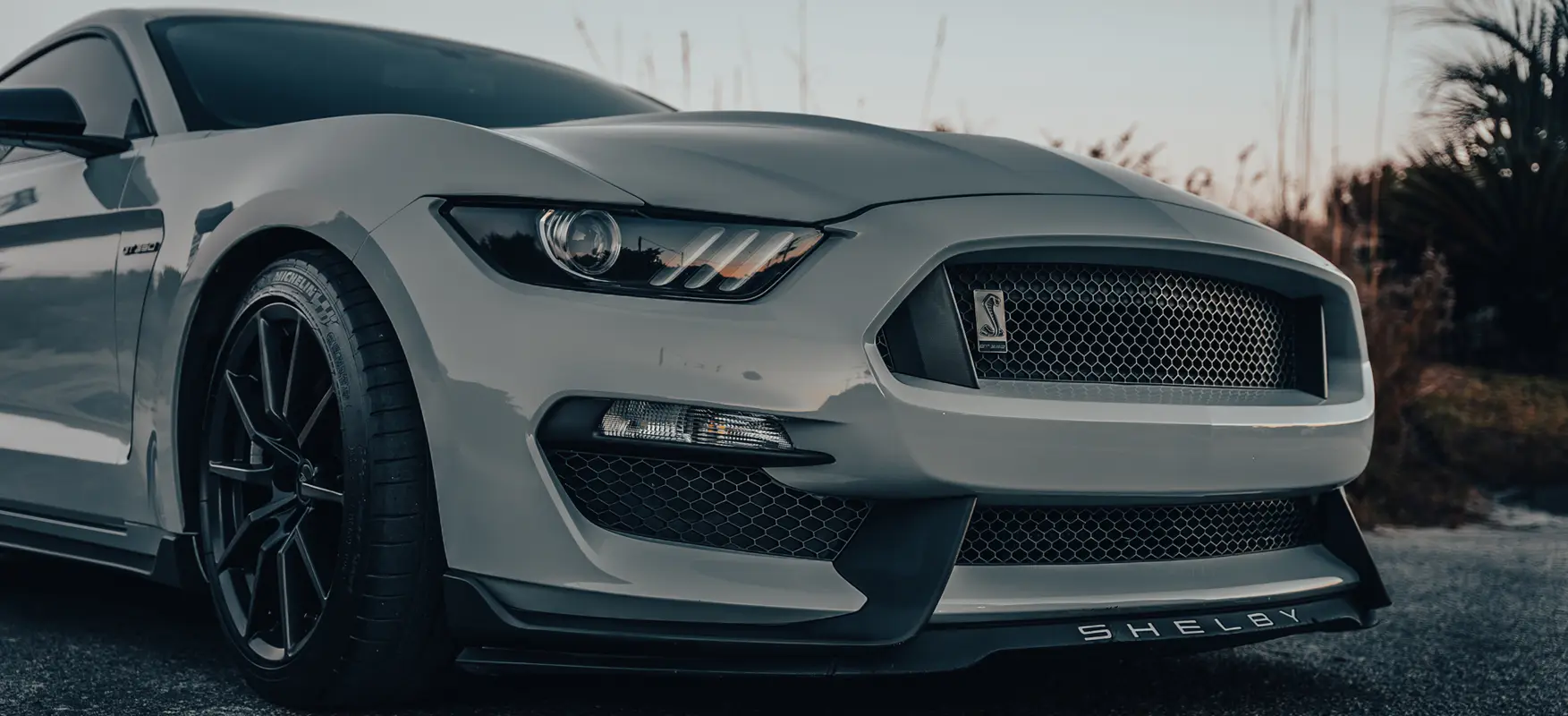 Mustang on beach