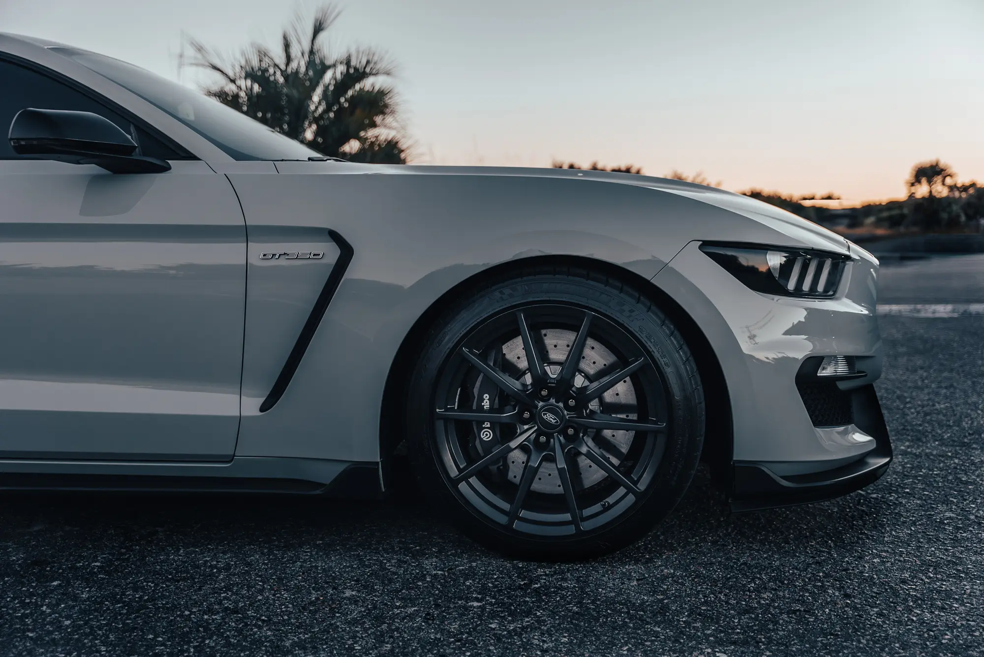 Mustang side view on beach